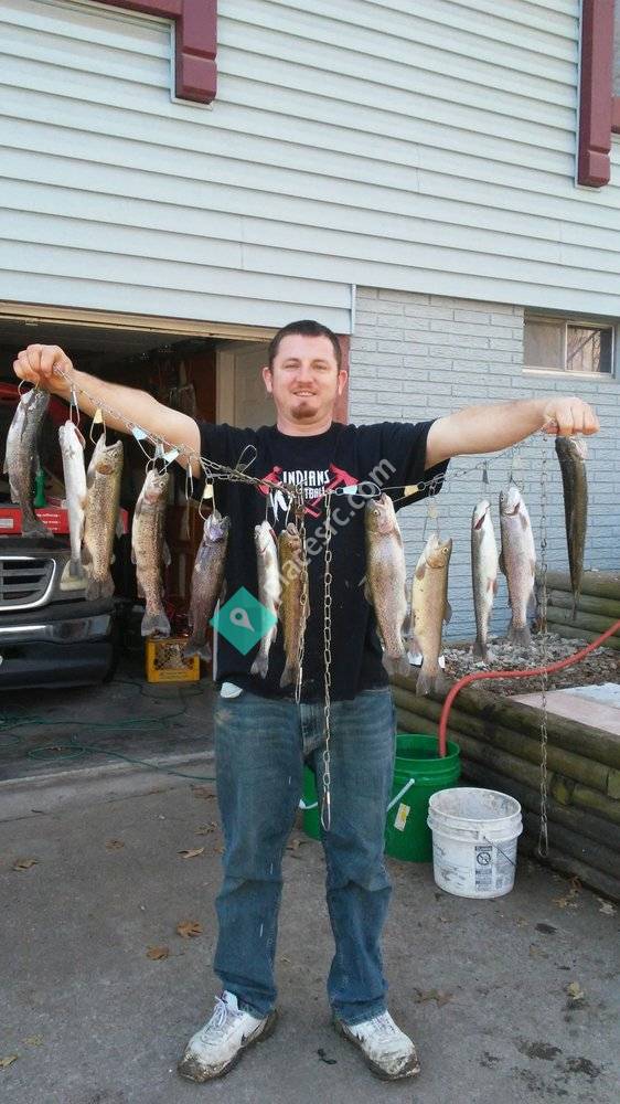 40 Woods Bait & Tackle Blue Springs