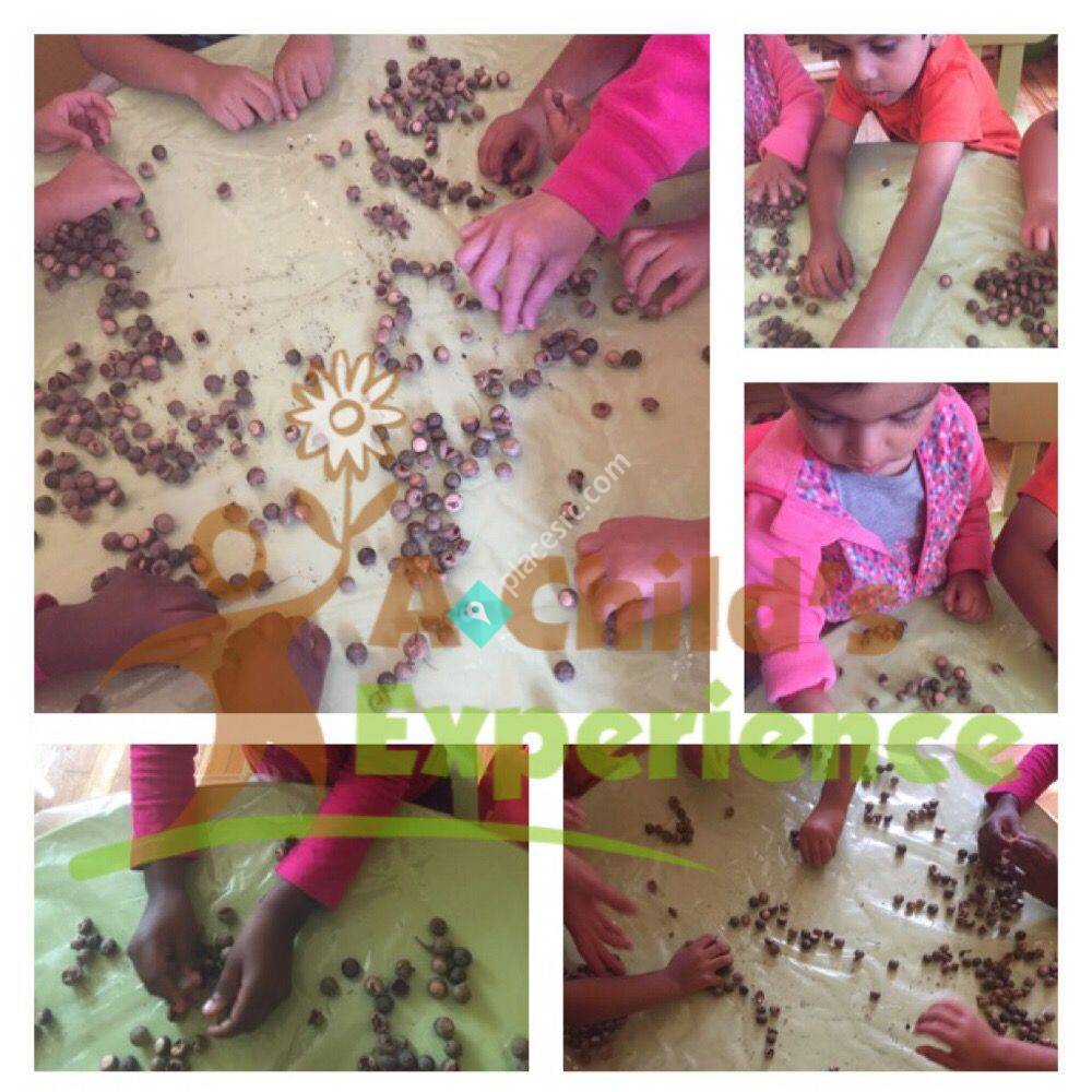 A Child's Experience