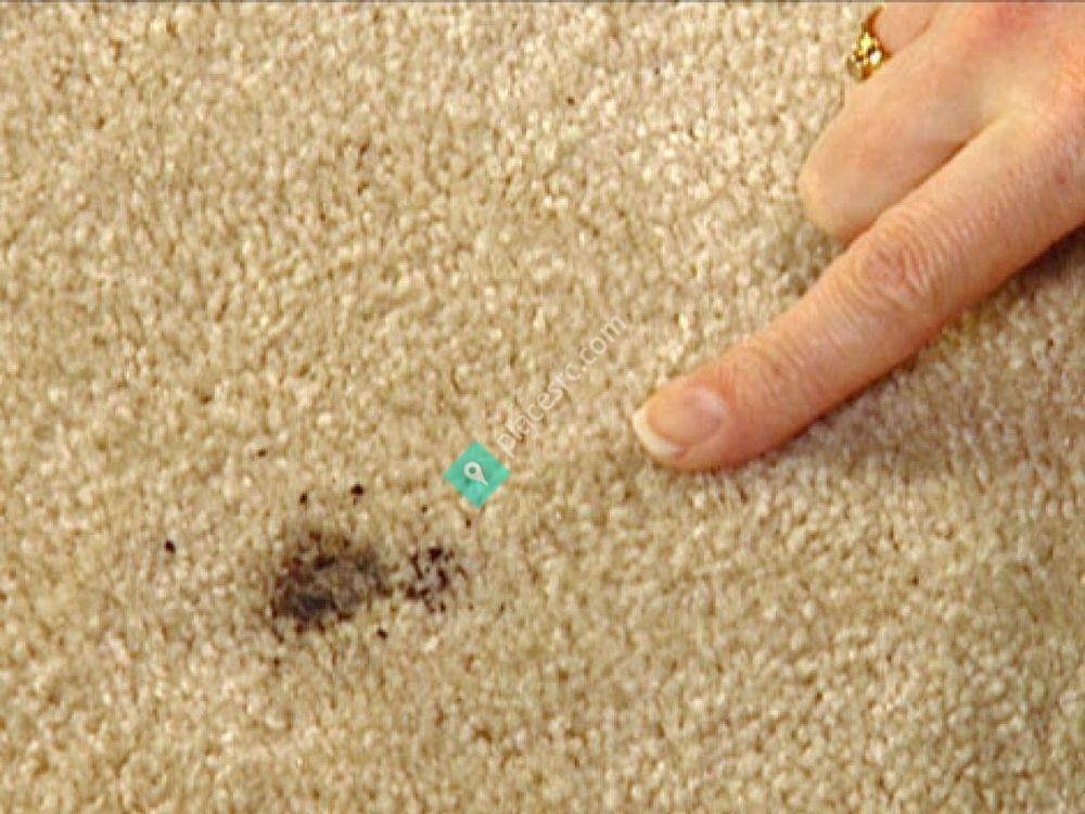 Alexander's Carpet Re-Stretch & Repair