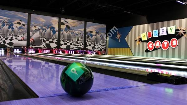 Alley Cats Entertainment