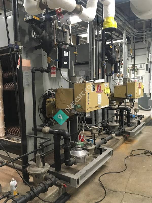 Amicus Therapeutics Inc