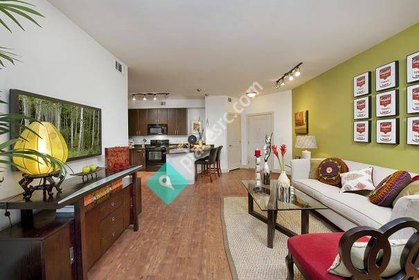 Andante At Nine Mile Station