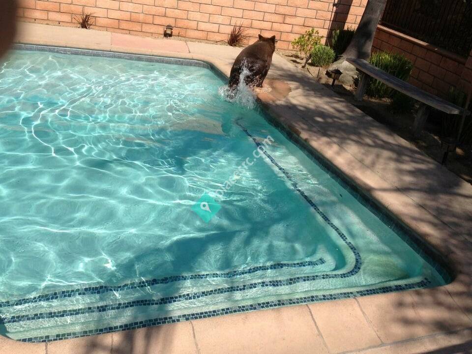 Aqua Docs Pool Service