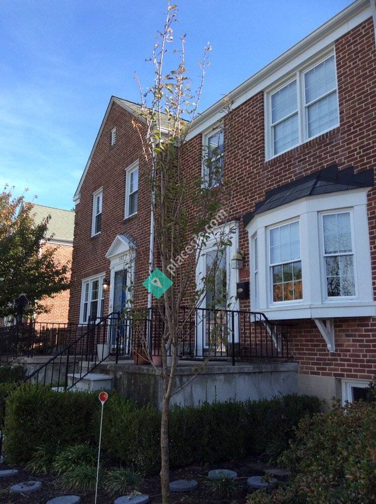 Arbor Care Tree Experts