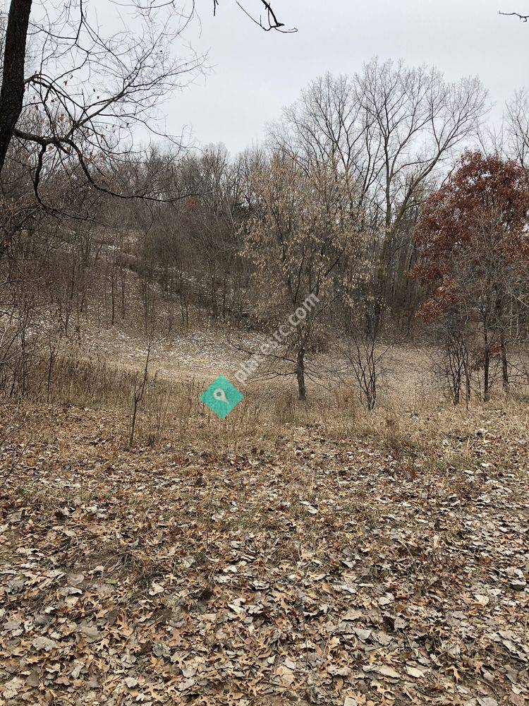 ArlingtonArkwright Dog Park Saint Paul