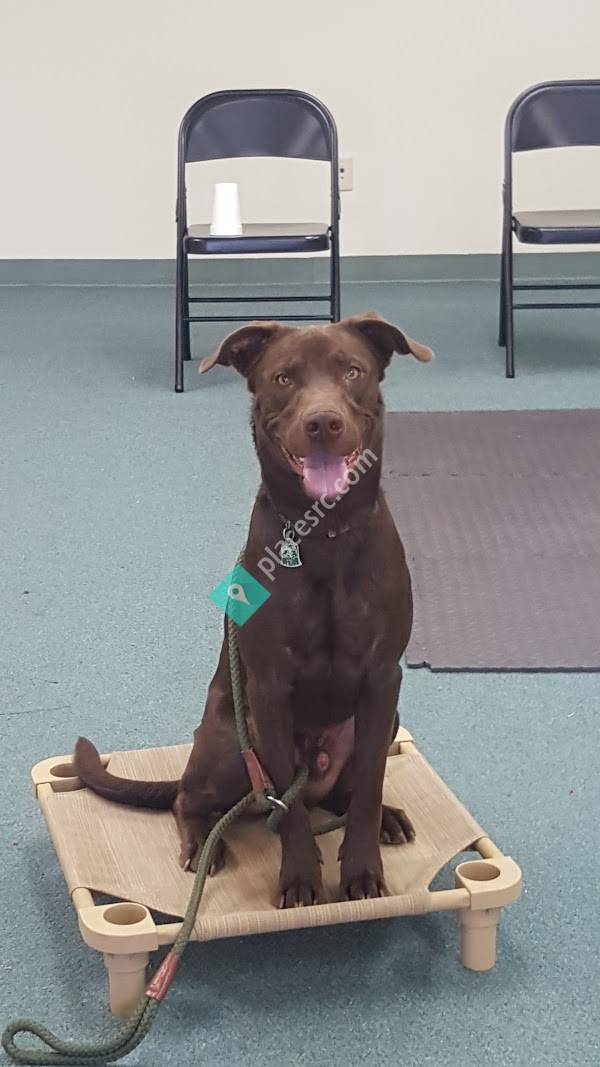 Azani Pro Training Edmond