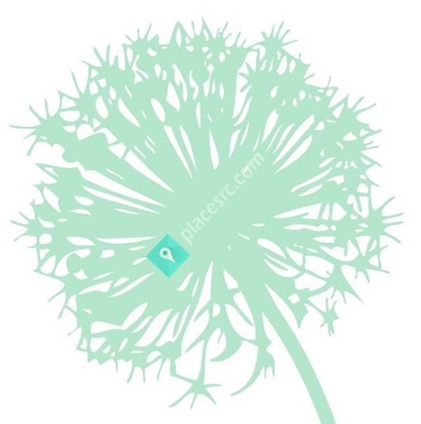 Bella Vita Counseling