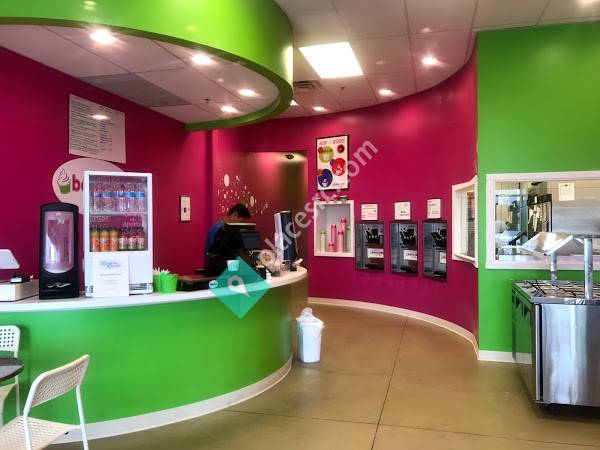 Berry Good Frozen Yogurt