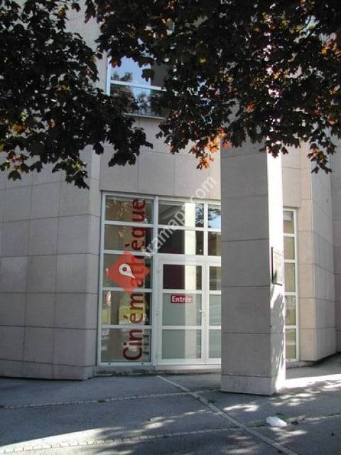 Bibliothèque municipale de Tarentaize - Cinémathèque