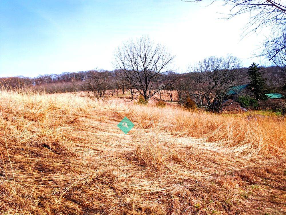 Binky Lee Preserve - Natural Lands
