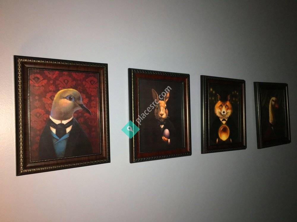 Black Cat Escape Room