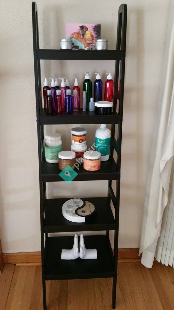 Body Shop Massage & Wellness