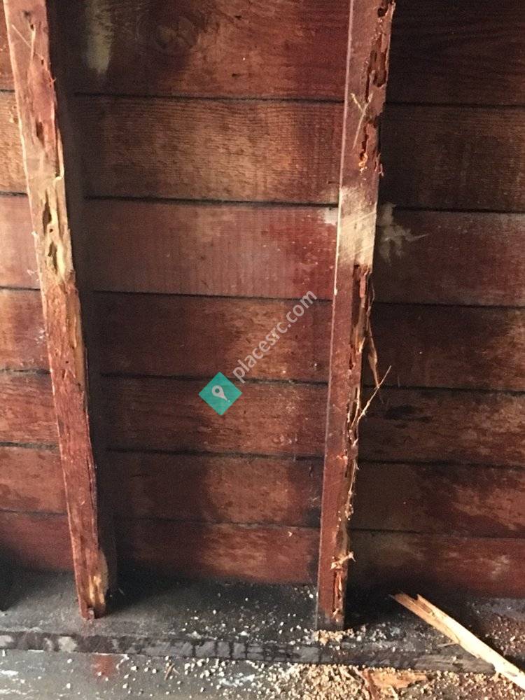 Brothers Termite Company Bell Gardens