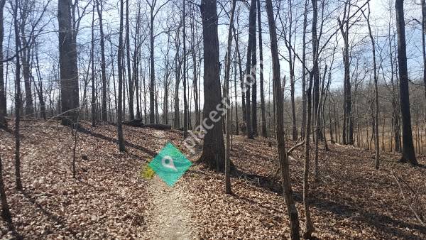 Canal Loop Trail Head