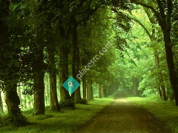 Center for Psychological Development