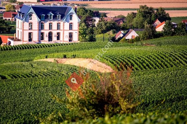 Château de Sacy