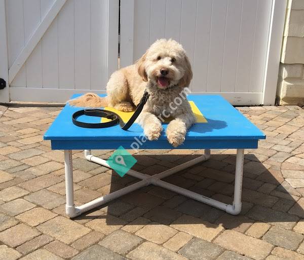 Chesapeake Dog Training, LLC Annapolis