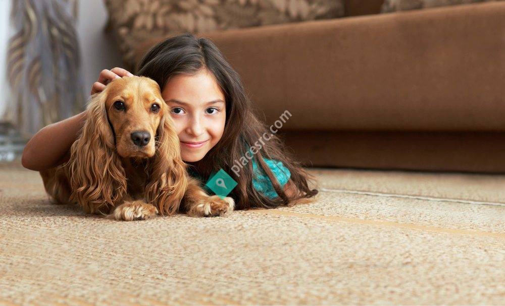 Clean Living Chem-Dry