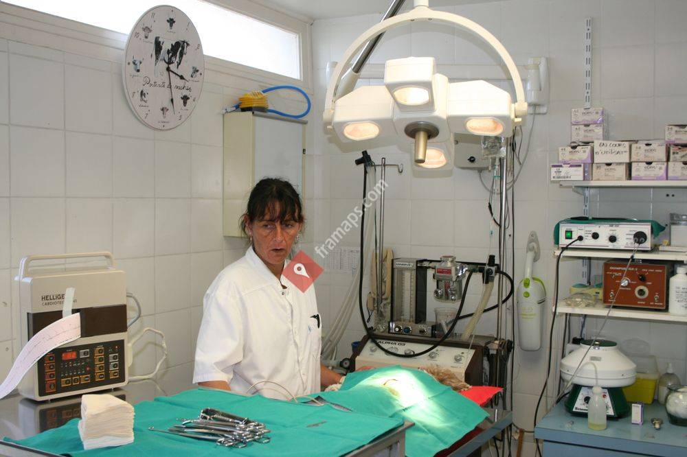 Clinique Vétérinaire Alain Lepoutre