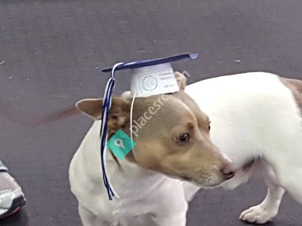 Companion Dog School of Tulsa