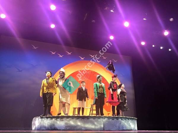 Connecticut Family Theatre Inc