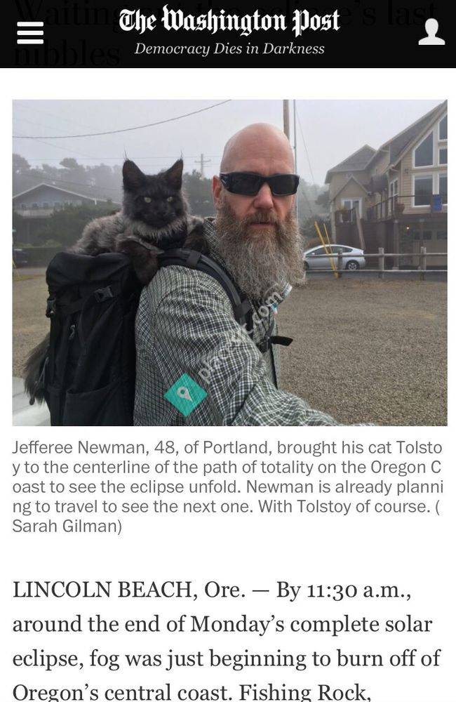 CoonKingdom Maine Coons Federal Way