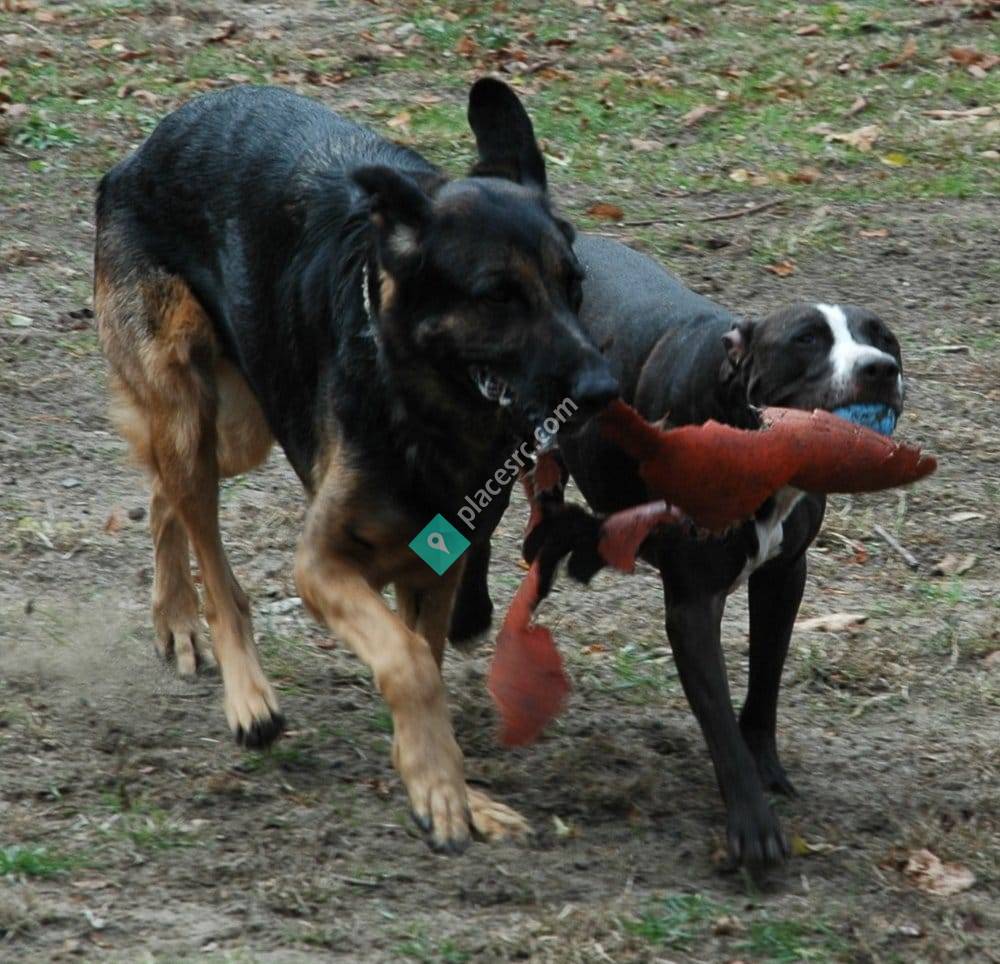 Country Haven Kennels Mount Holly