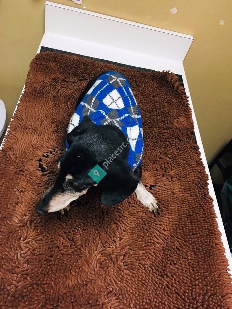 Cudahy Veterinary Clinic