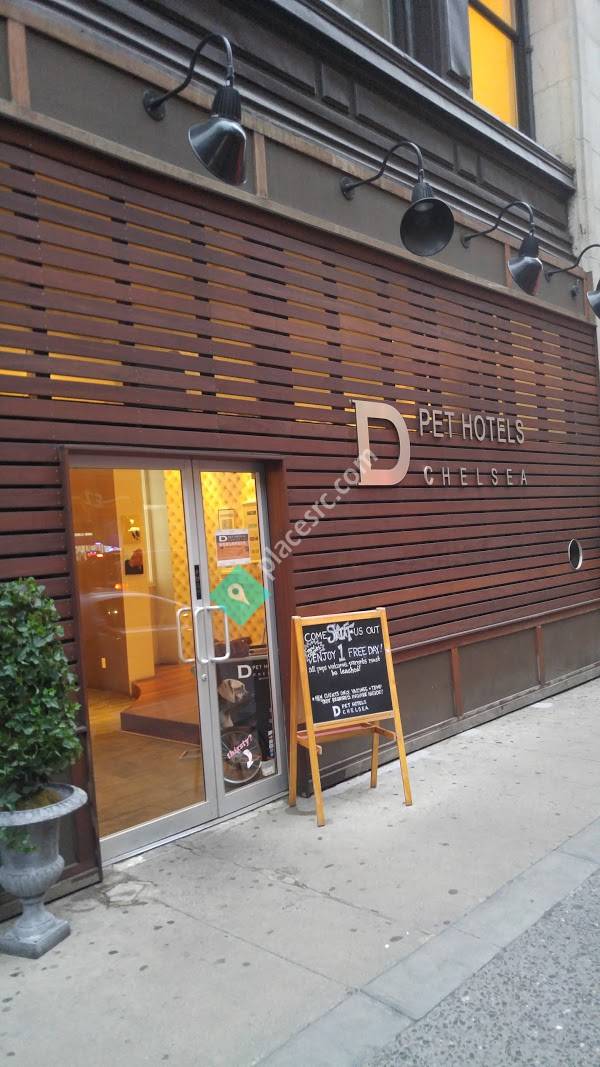 D Pet Hotels Chelsea New York