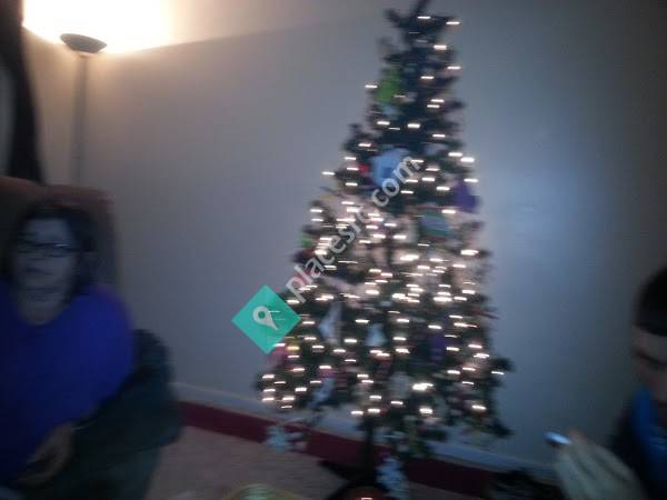 Dial-Murray Funeral Home Inc