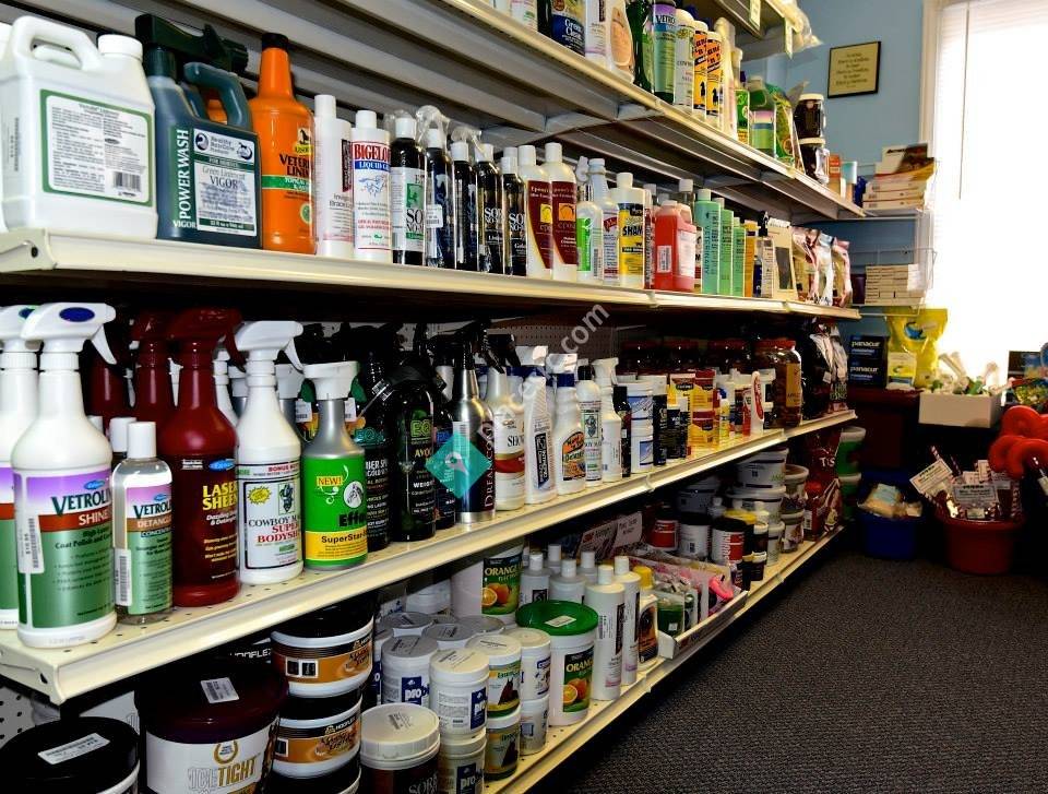 Do Trot In Tack Shop