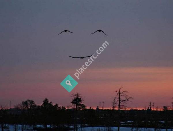 Doylestown/Massage/ Reiki/ Psychic/Reflexology