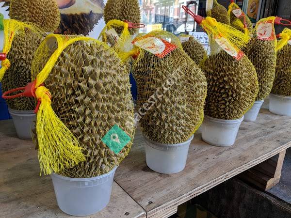 Durian NYC