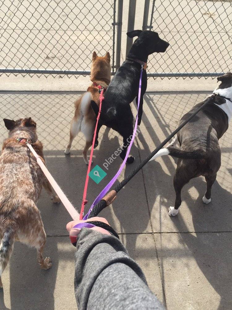 Enlightened Pet Care West Des Moines