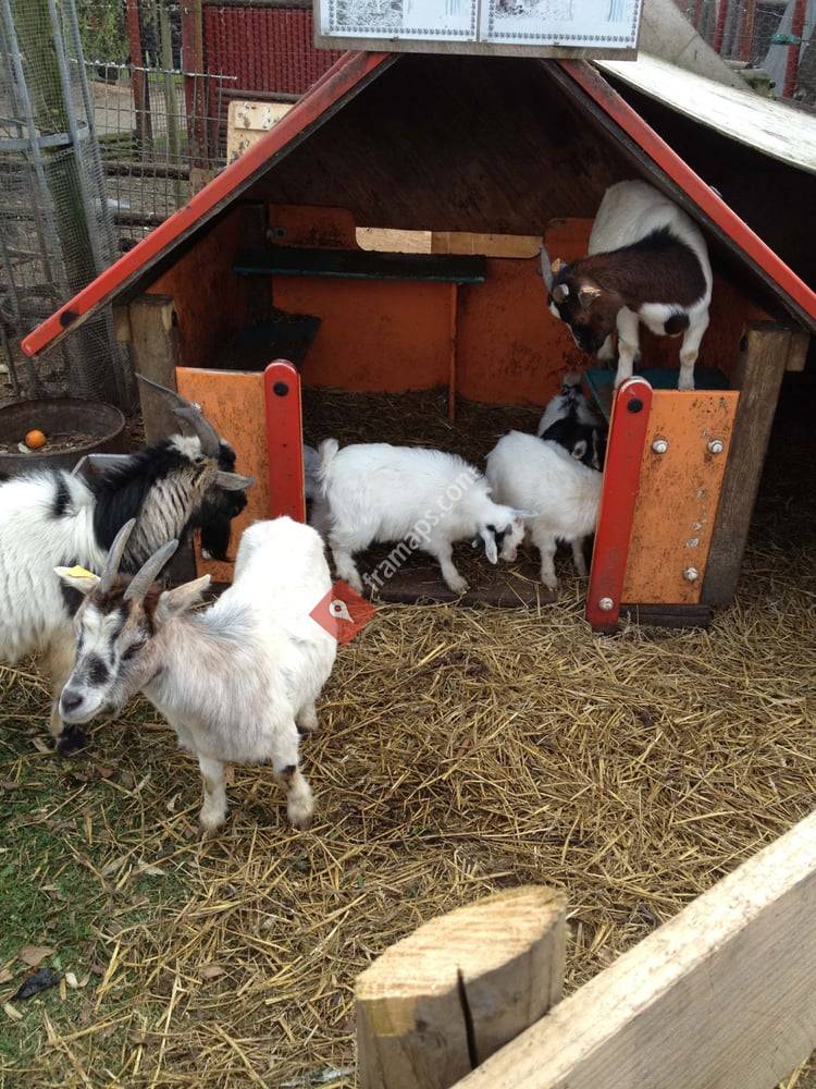 Espace Nature des Ogiers