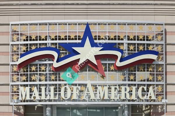 Executive Transportation