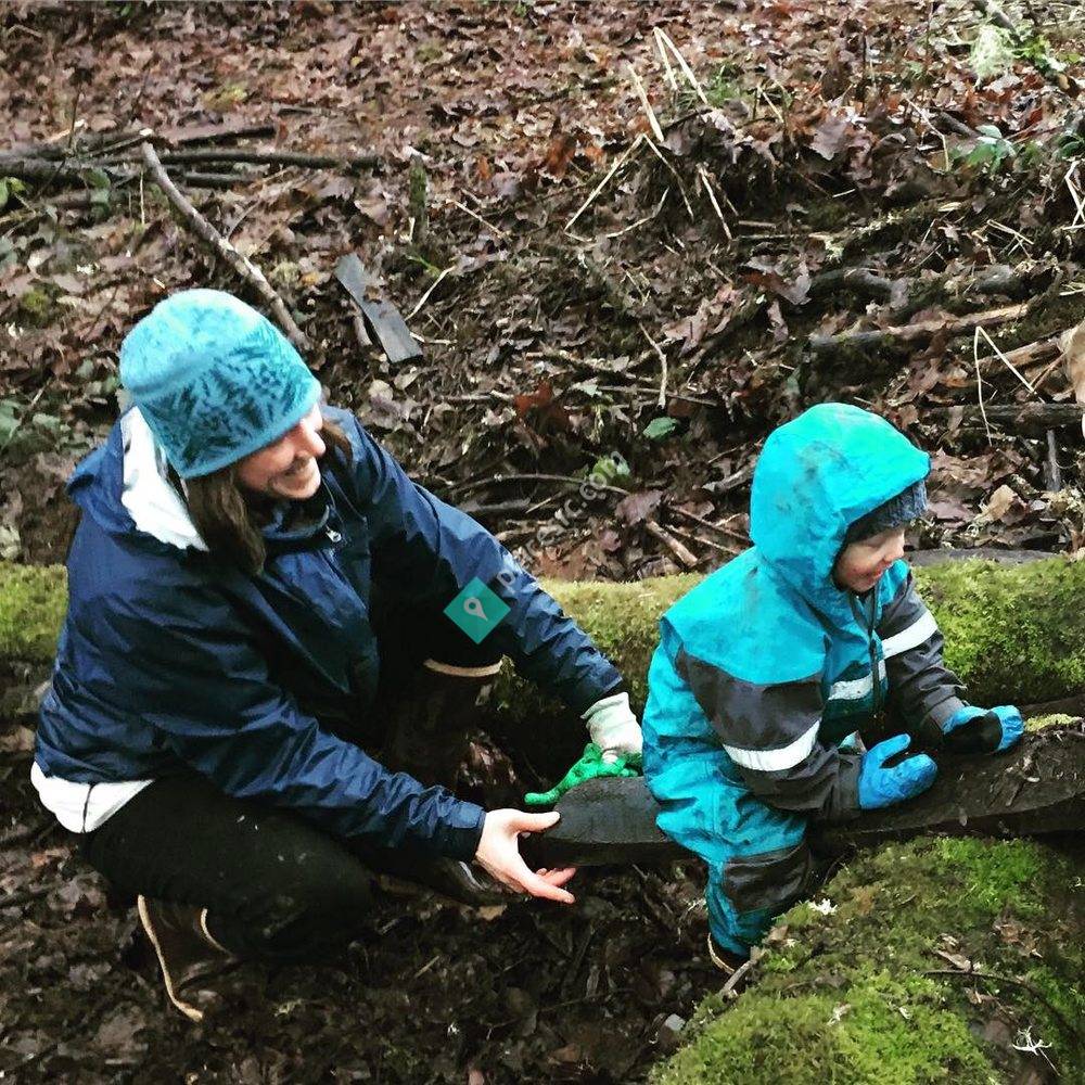 Fern & Feather Forest School