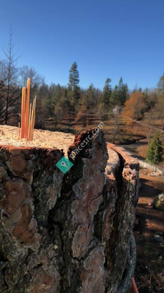 FISK'S TREE & EXCAVATING SERVICE Ahwahnee