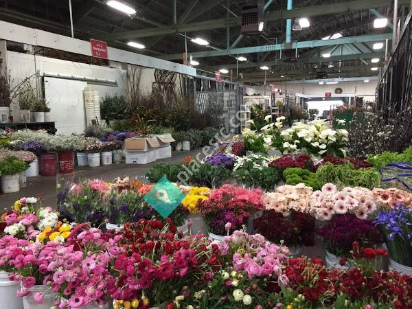 Floramax Wholesale