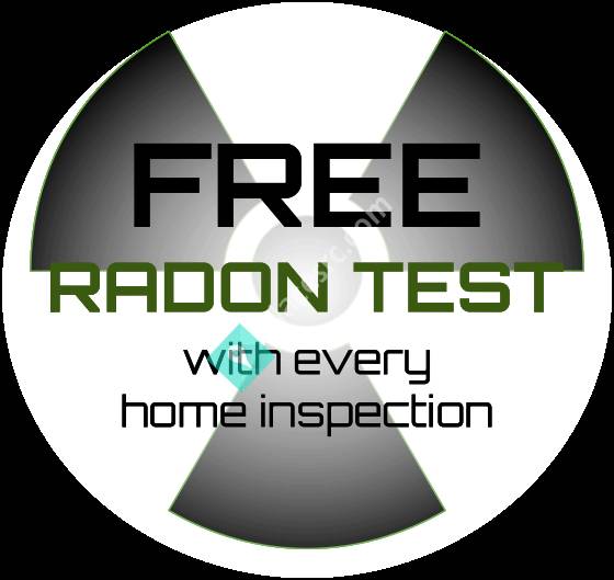 Four Dogs Inspections