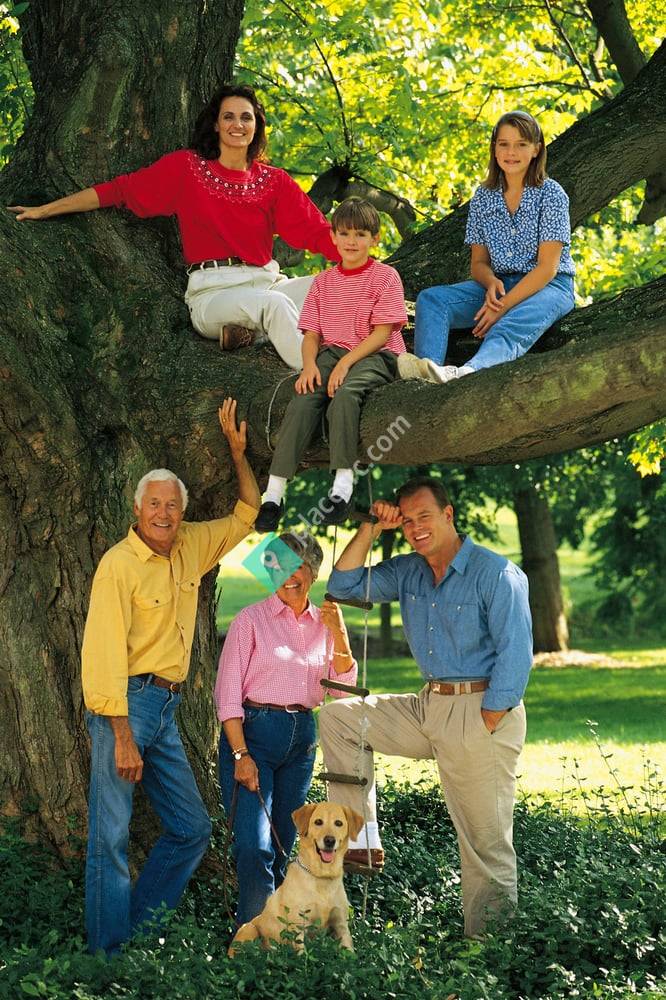 Freedom Financial Advisors, LLC