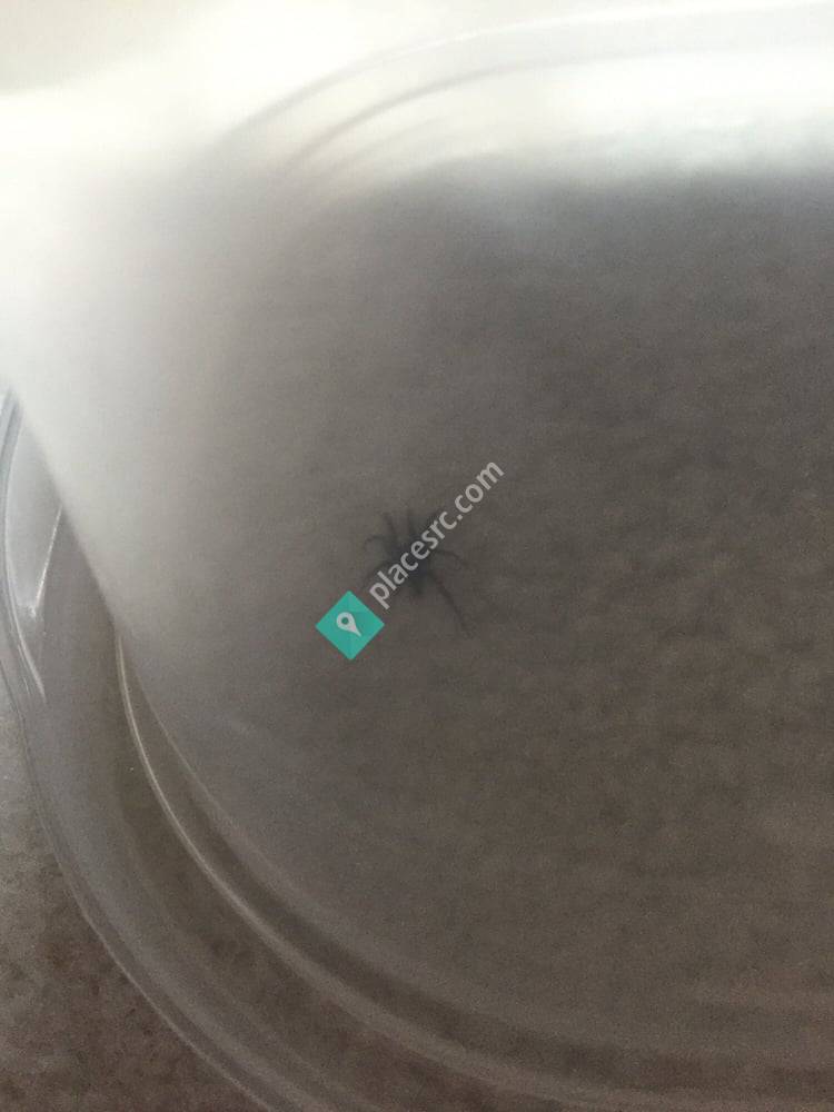 Greenix Pest Control Lewis Center