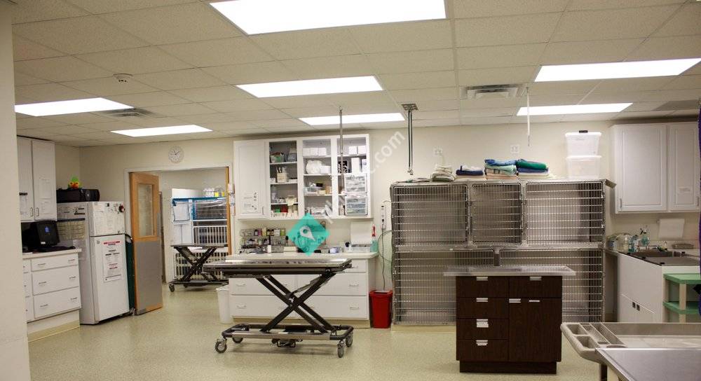 Harford Emergency & Referral Veterinary Services Bel Air