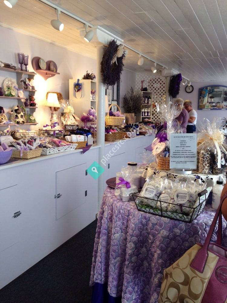 Hidden Spring Lavender Farm and Shoppe