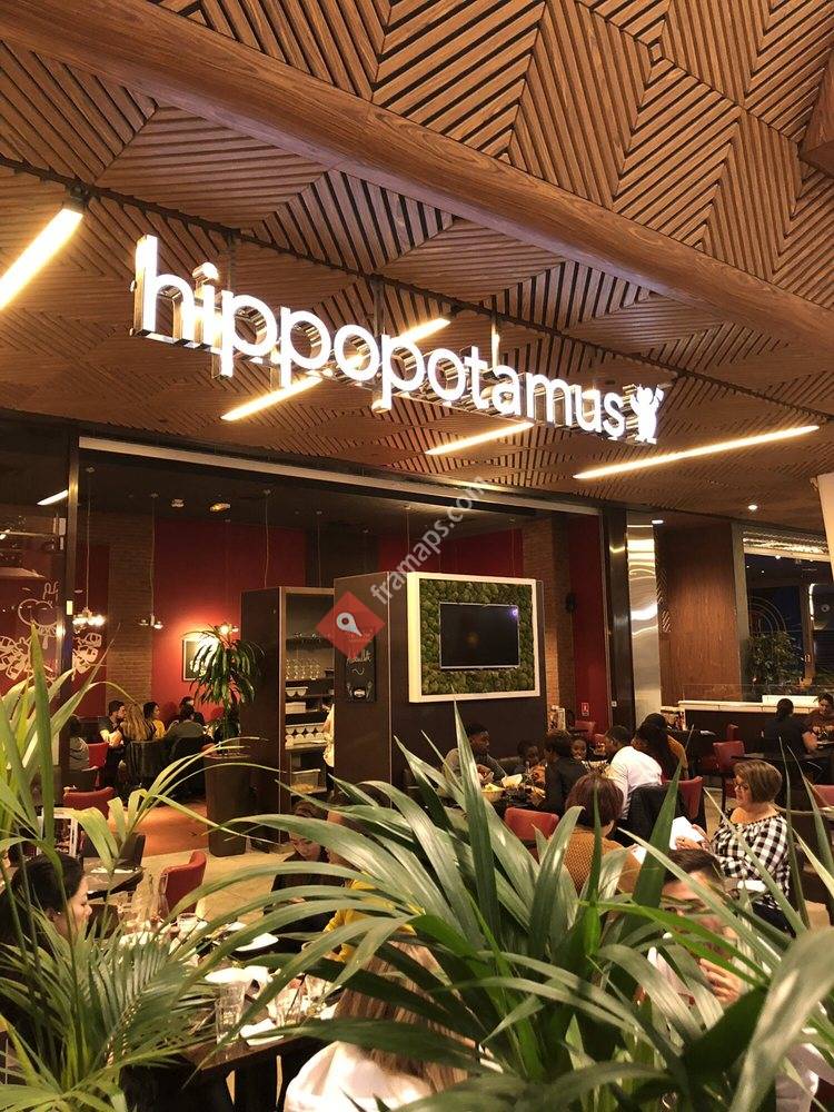 Hippopotamus