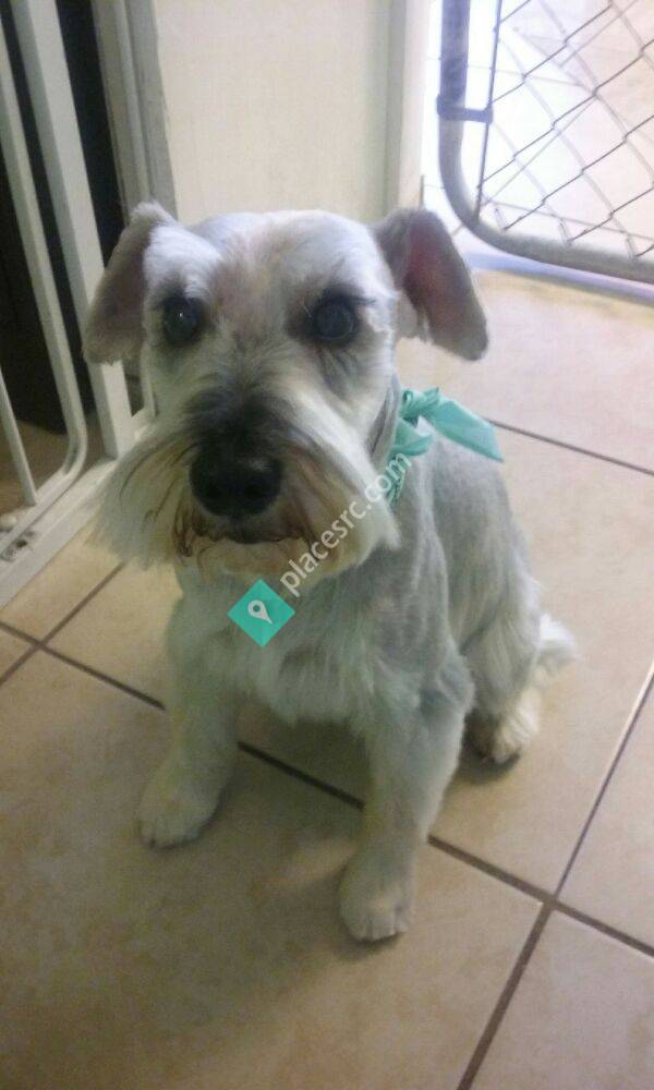 House of Dog Grooming Salon