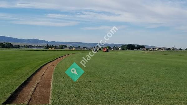 Idaho Sod