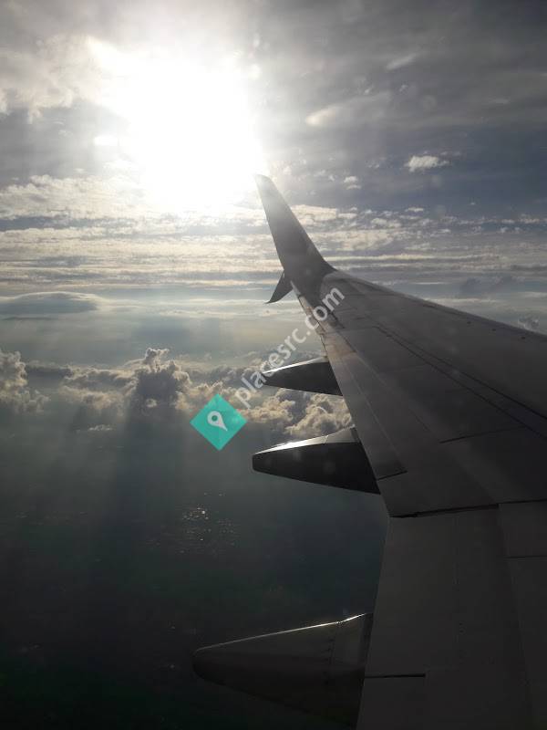 Janssen Pharmaceutical Companies of Johnson & Johnson