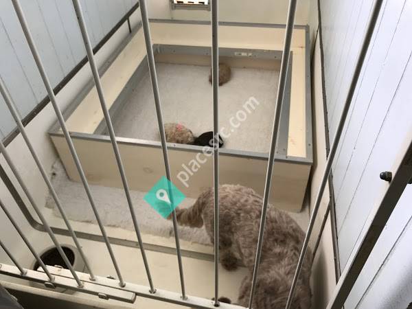 Just Labs Kennels