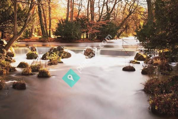 Kathleen M. Newman Family Law